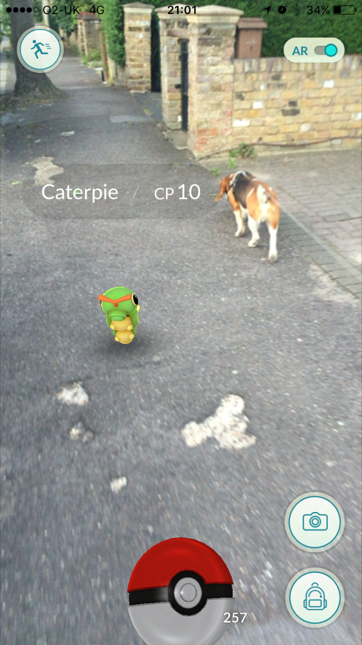 Pokemon Go Augmented Reality Basset Hound Caterpie